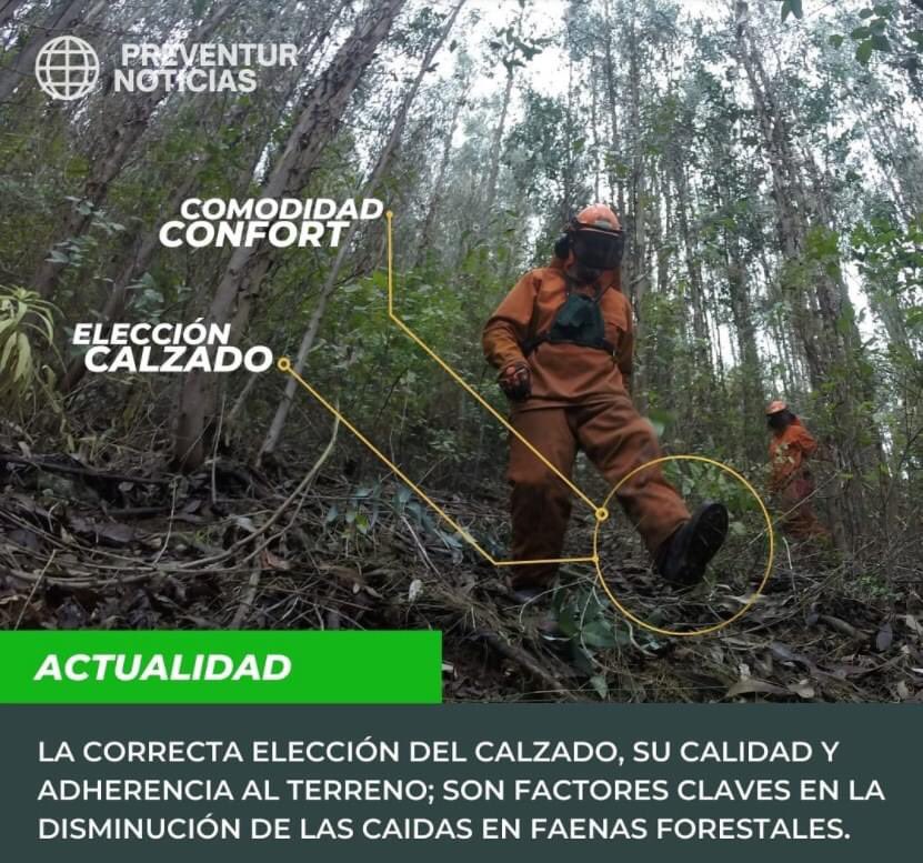 CalzadosRobusta's tweet photo. El equipo de @preventur desarrolla una importante labor de prevención forestal y saben la importancia de una correcta elección del calzado, para disminuir accidentes. Por todo ello agradecemos la confianza que depositan en Robusta.
#CalzadosRobusta #Preventur #SectorForestal https://t.co/V0hyuDrW9L