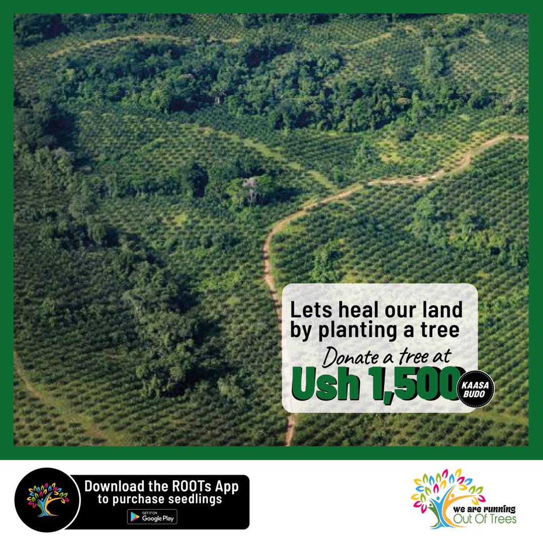 Trees are more than just part of our natural landscape. They provide shelter &amp; food for wildlife. They absorb carbon dioxide &amp; produce breathable air. And they make the world a beautiful place. #RunningOutOfTrees 
<a href="/ROOTs_Uganda/">ROOTs - #RunningOutOfTrees 🇺🇬↪️🟢</a>