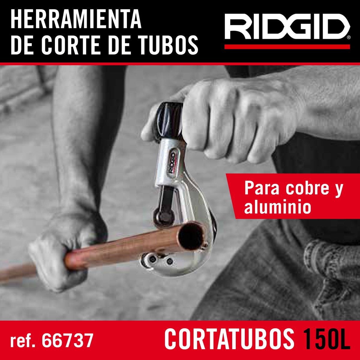 🆕El cortatubos 150L de <a href="/RIDGIDtoday/">RIDGID</a> es la herramienta ideal para el corte de tubos de cobre y aluminio:

🪶Ø 6-35mm.
🔄 Cambio rápido y sencillo de cuchilla.
💪 Incluye cuchilla de recambio.

#ridgidpowertools #ridgid150L #pipecutter #pipe #fegemugroup   #herramientaligera #tool