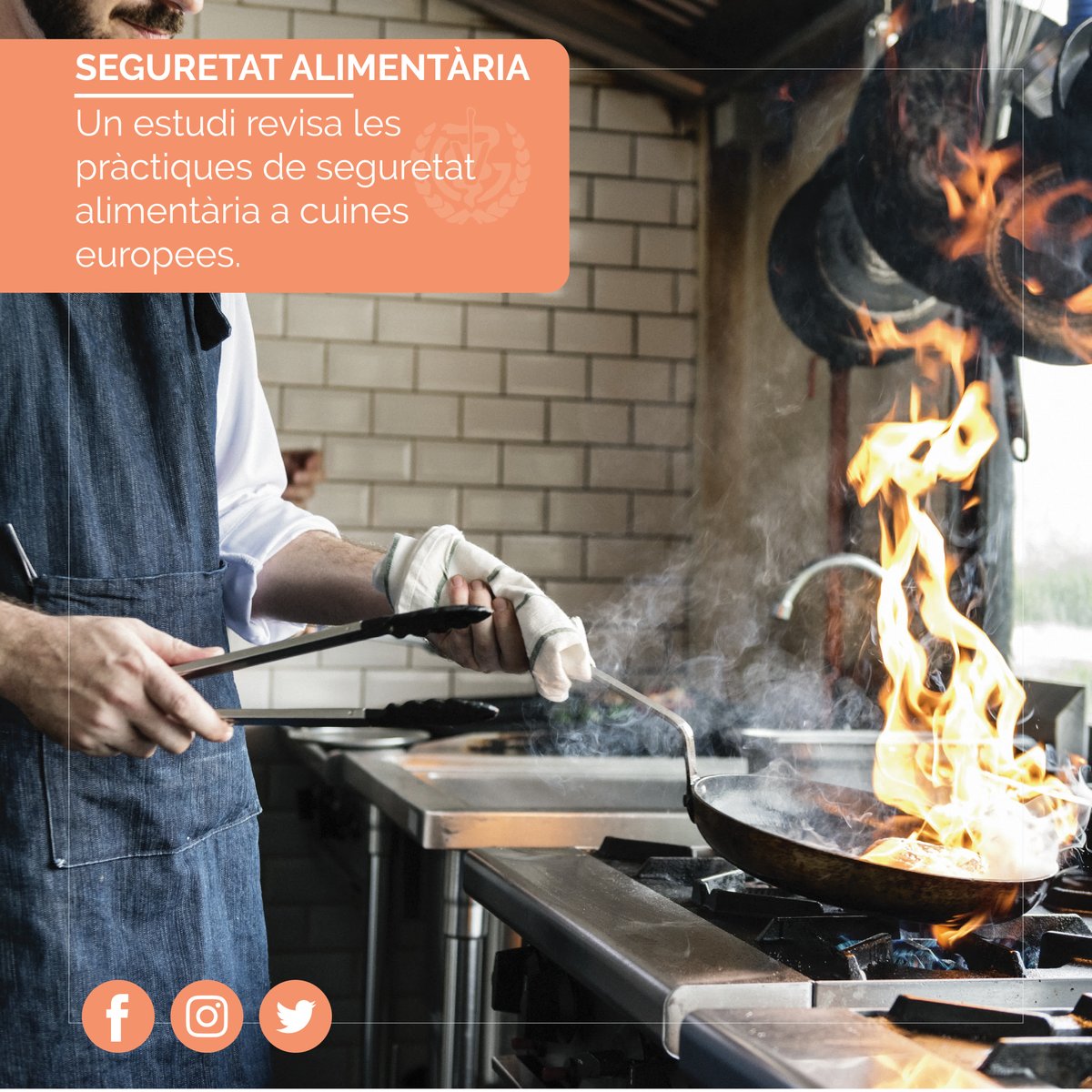 ⚠️Netejar bé els aliments de consum en cru, congelar els aliments com el peix i carns o controlar el punt de cocció dels aliments, podrien reduir el contagi de malalties transmeses per Campilobàcter, Salmonel·la o Norovirus. 

#Veterinaris #SalutAlimentaria #Colvetgi