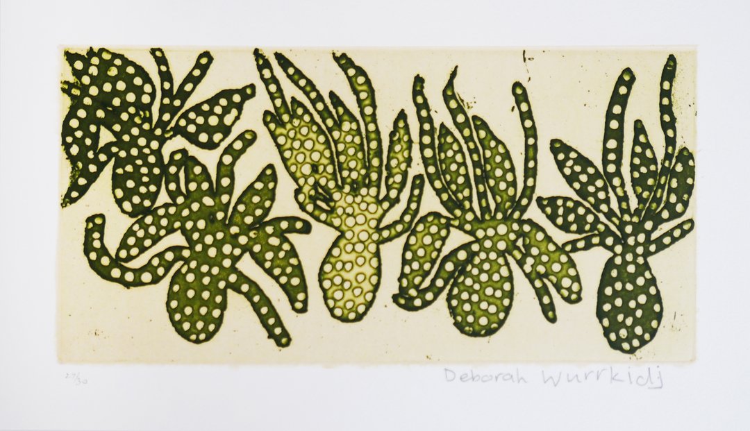Deborah Wurrkidj
(b.1971)
Untitled, n.d.
etching
30 x 43 cm
11 3/4 x 16 7/8 in
.
.
.
𝙀𝙣𝙦𝙪𝙞𝙧𝙞𝙚𝙨: 𝙞𝙣𝙛𝙤@𝙧𝙚𝙗𝙚𝙘𝙘𝙖𝙝𝙤𝙨𝙨𝙖𝙘𝙠.𝙘𝙤𝙢
@rebeccahossackartgallery