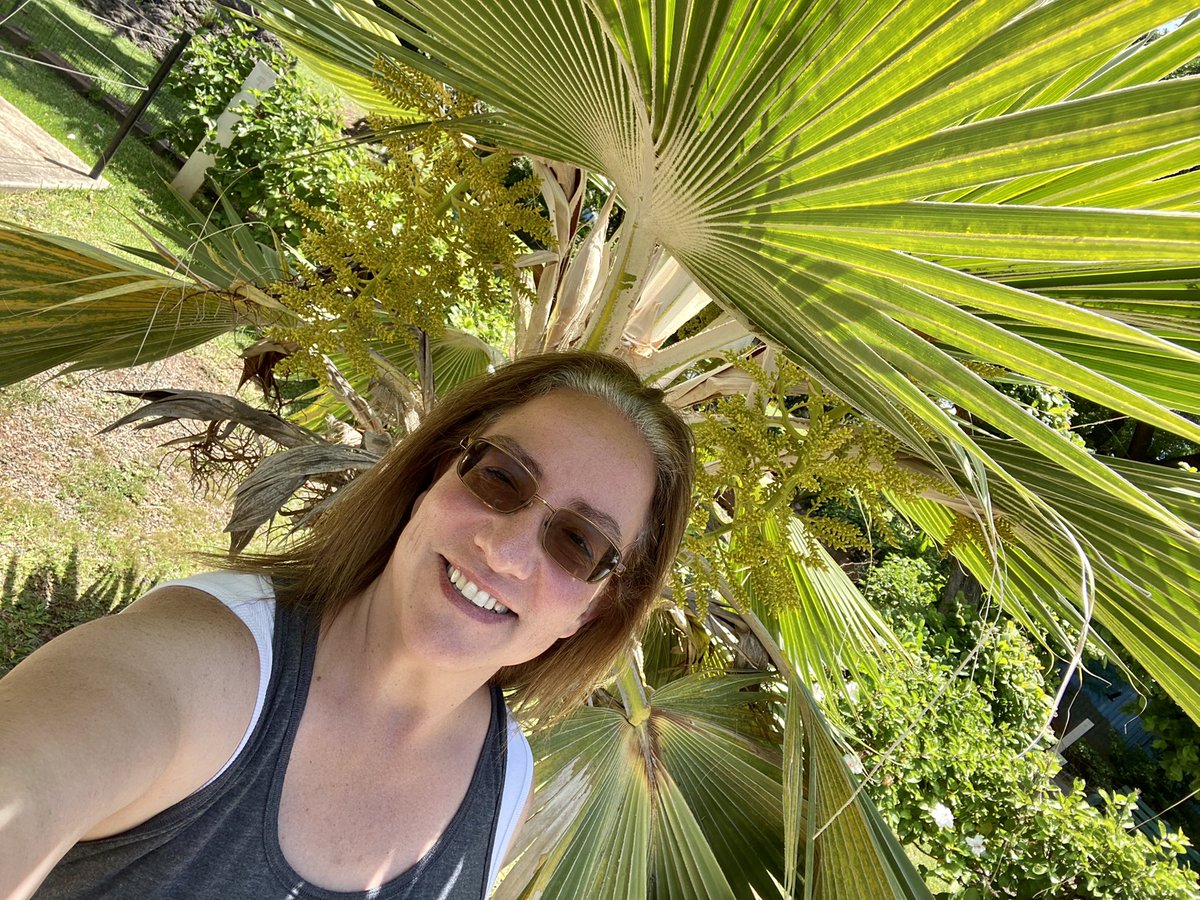 RachelleLove25's tweet photo. Family bonding. No better place than in Hawaii! https://t.co/4Y92jr96B5