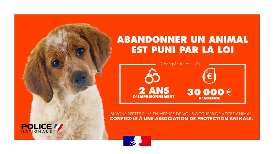 PoliceNat44's tweet photo. [#ProtectionAnimale] Hier périph de #Nantes nos #policiers  sont avisés d'1 chauffard traînant derrière lui 1 🐶accroché par 1 laisse à l'attelage de sa🚗. 
🐕 décroché puis abandonné sur le bas côté de la route. 
👉Secouru par @Sdis44 ▶️🏥véto.
👉🧐 en cours.
#ContreLesViolences https://t.co/JBtg2bSFeh