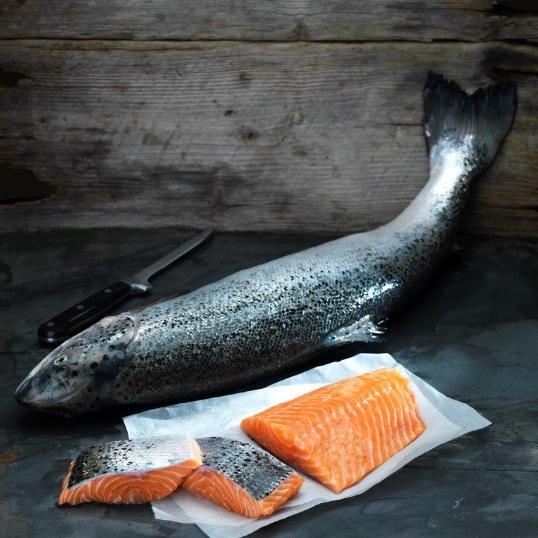 myfishcompany's tweet photo. On promotion throughout this week @BoothsCountry, Wester Ross Premium Scottish Salmon @WesterRossSalmon #scottishsalmon #SalmonLovestory #premiumfish #artisansalmon #qualityseafood #welovefish #salmonrecipies #chefsnorthwest #salmonspecialoffer https://t.co/P8RPoFCfEo