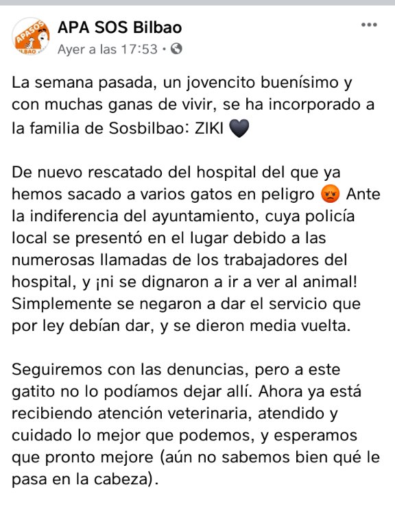 ilargiberri1's tweet photo. Hola a todxs...hace unas semanas un trabajador del hospital de Bilbao nos avisó de q rondaban gatos por las inmediaciones,se cuelan buscando comida y hay gente q los trata a patadas... este chico les pone comida. incluso enfermeras han rescatado alguno....necesitamos ayuda... https://t.co/urcdu1Ve9G