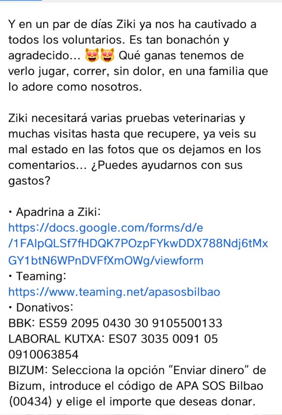 ilargiberri1's tweet photo. Hola a todxs...hace unas semanas un trabajador del hospital de Bilbao nos avisó de q rondaban gatos por las inmediaciones,se cuelan buscando comida y hay gente q los trata a patadas... este chico les pone comida. incluso enfermeras han rescatado alguno....necesitamos ayuda... https://t.co/urcdu1Ve9G