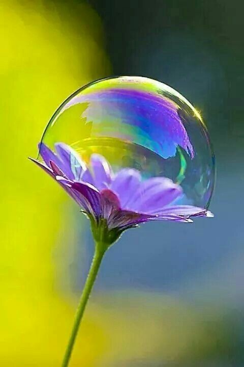 Casa Lettori tweet media