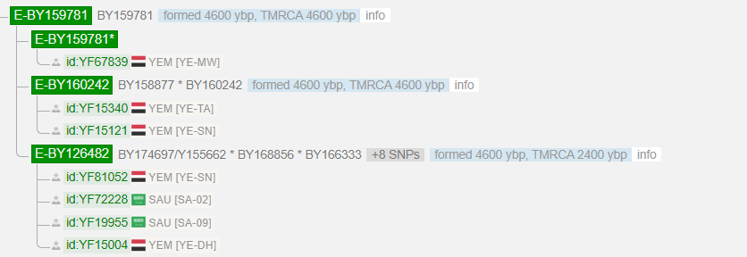 يسرنا إعلان نتيجة BigY700 لعينة من قبيلة بني المجاهد(لهم موروث رسولي)-تعز-اليمن
(الاصول من بني عيسى-الحداء) 
برقم:513381
موجبة للتحورات:
E-M84>BY159948>BY158877
ديارهم امتداد جغرافي لخولان,جينيا متكتلين وسط تكتل خولان ومعهم عينات من ذمار وريمة وإب.

*مرفقة مشجرة التحور E-BY159948