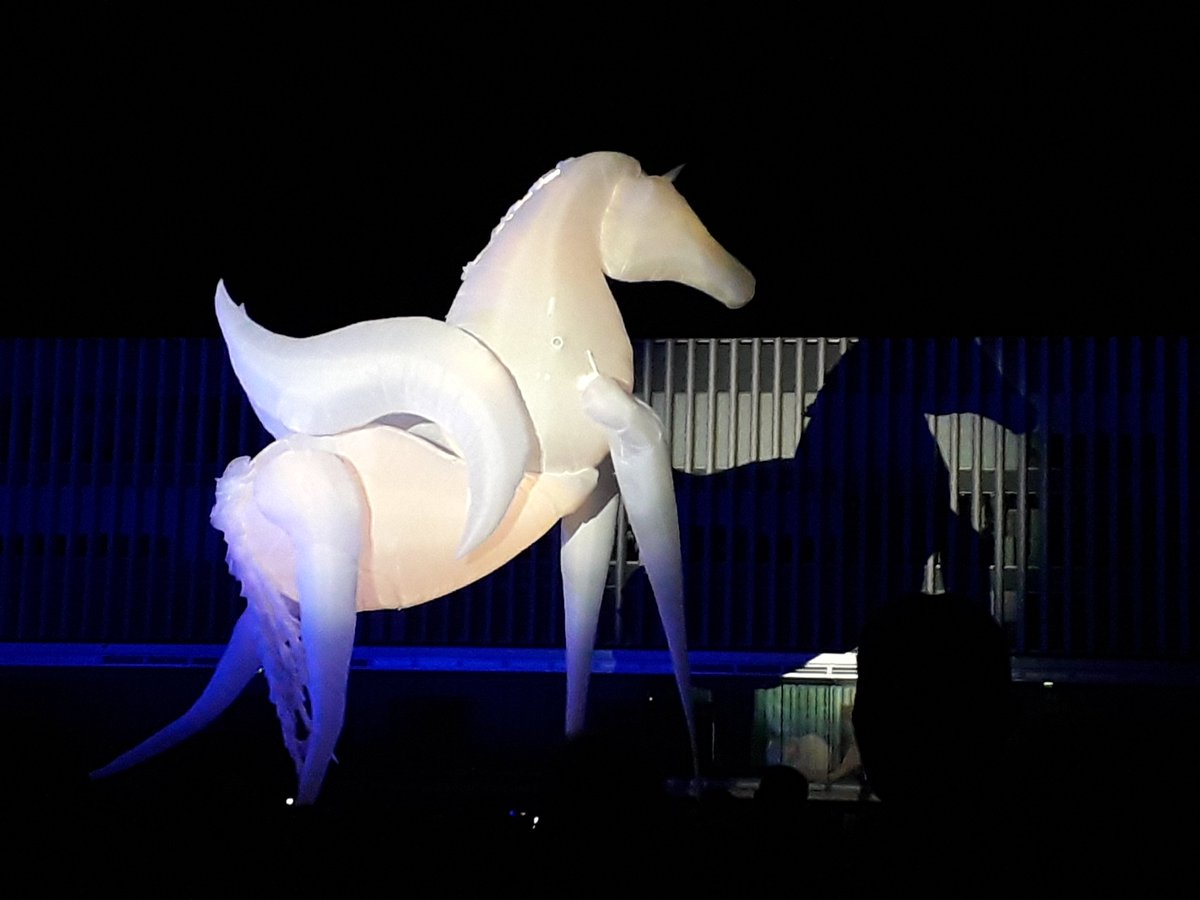 🎂Joyeux anniversaire au tramway de #caenlamer
🚊Il y a 2 ans, samedi 27 juillet 2019, l'heure était à la fête dans les rues de #Caen, #HérouvilleSaintClair et #Ifs pour célébrer l'arrivée du #tramway2019 !
🎊Animations, spectacles et grand final sur la Presqu'île de Caen.