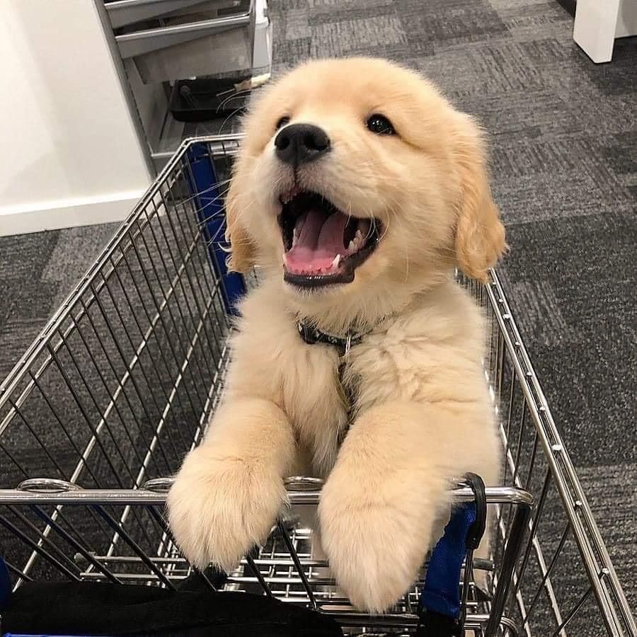 Yaaaah! 😁
