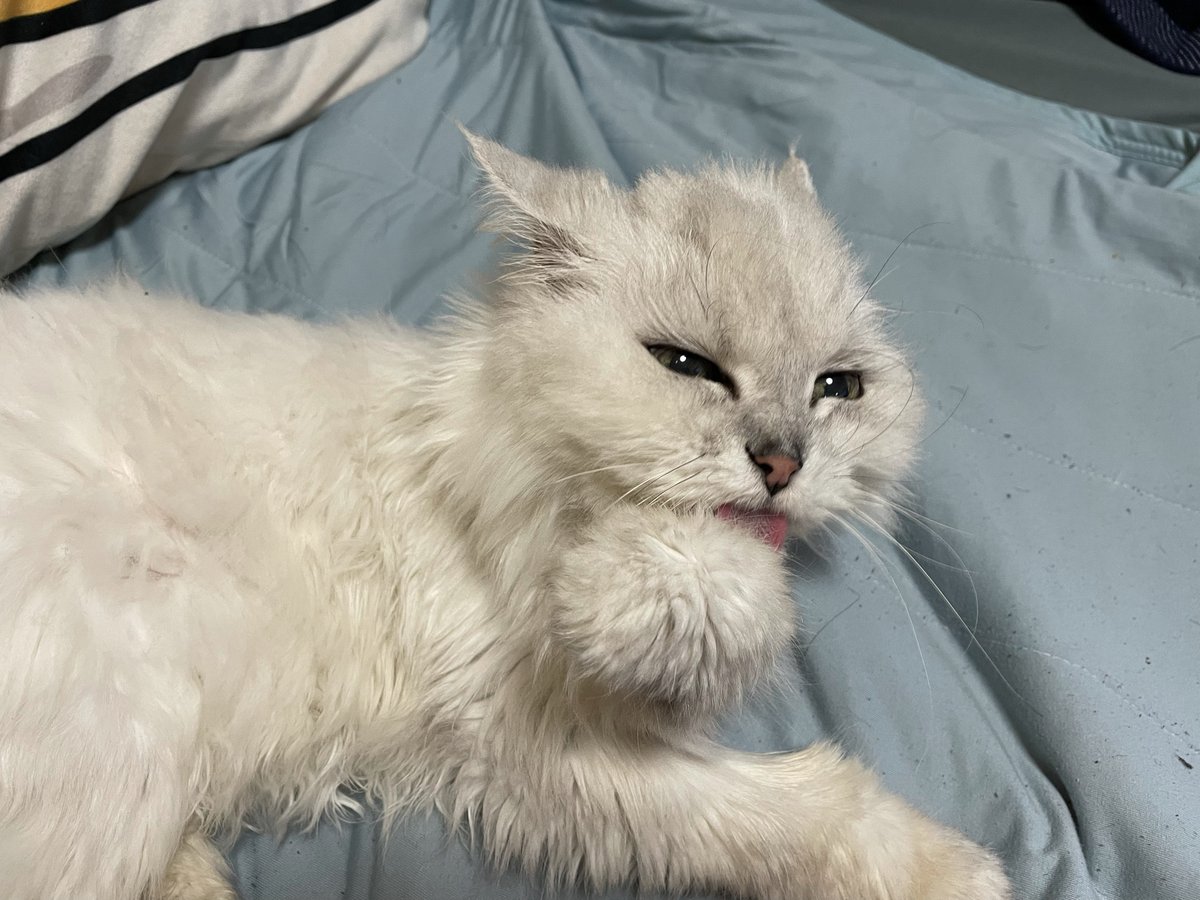 愛があれば歳の差なんて