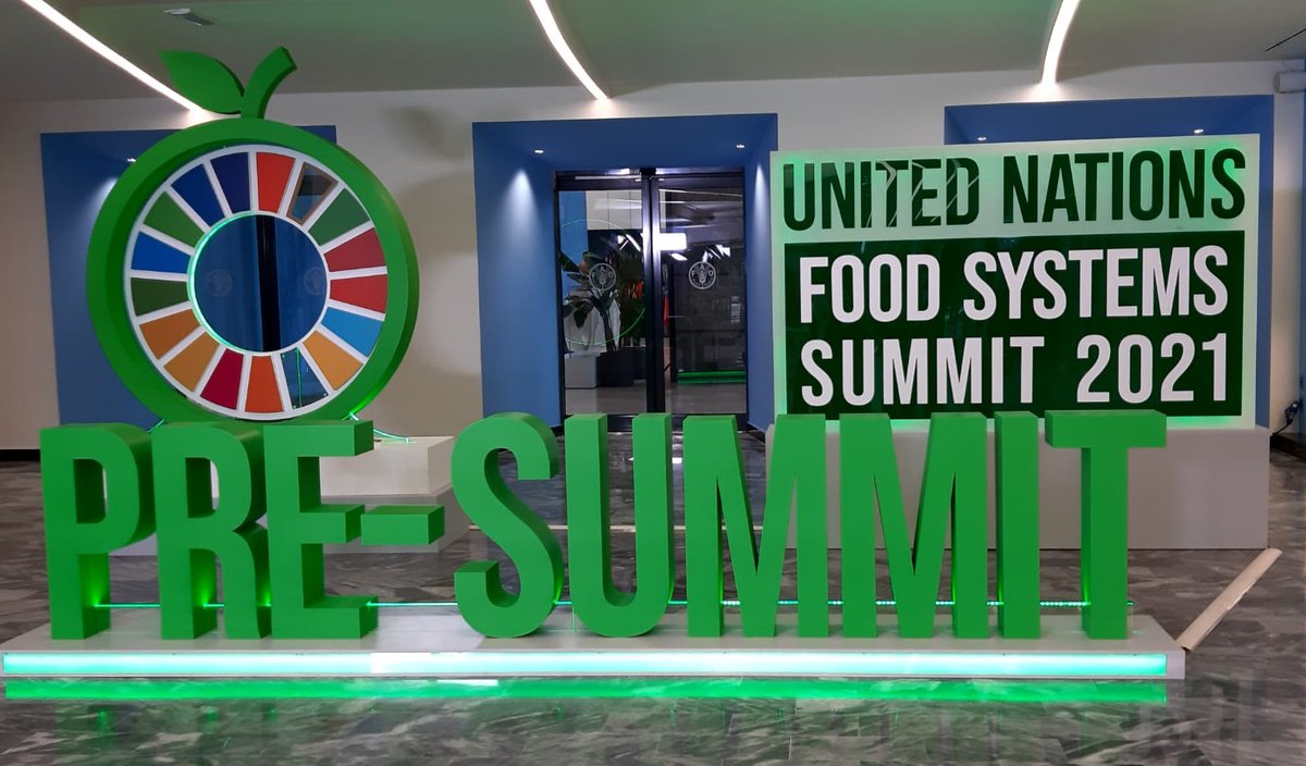 Cia_Agricoltura's tweet photo. L'#agricoltura italiana si candida a essere garante della sicurezza alimentare globale 🍅🌍🌽
#Cia al Pre-Summit @UN nella sede @FAO a Roma: nel decalogo delle organizzazioni di categoria #UnitinelCibo, impegni e priorità 🧑🌾
Leggi tutto ➡️https://t.co/lGZj2ELgxh https://t.co/4J3LhSCPE9