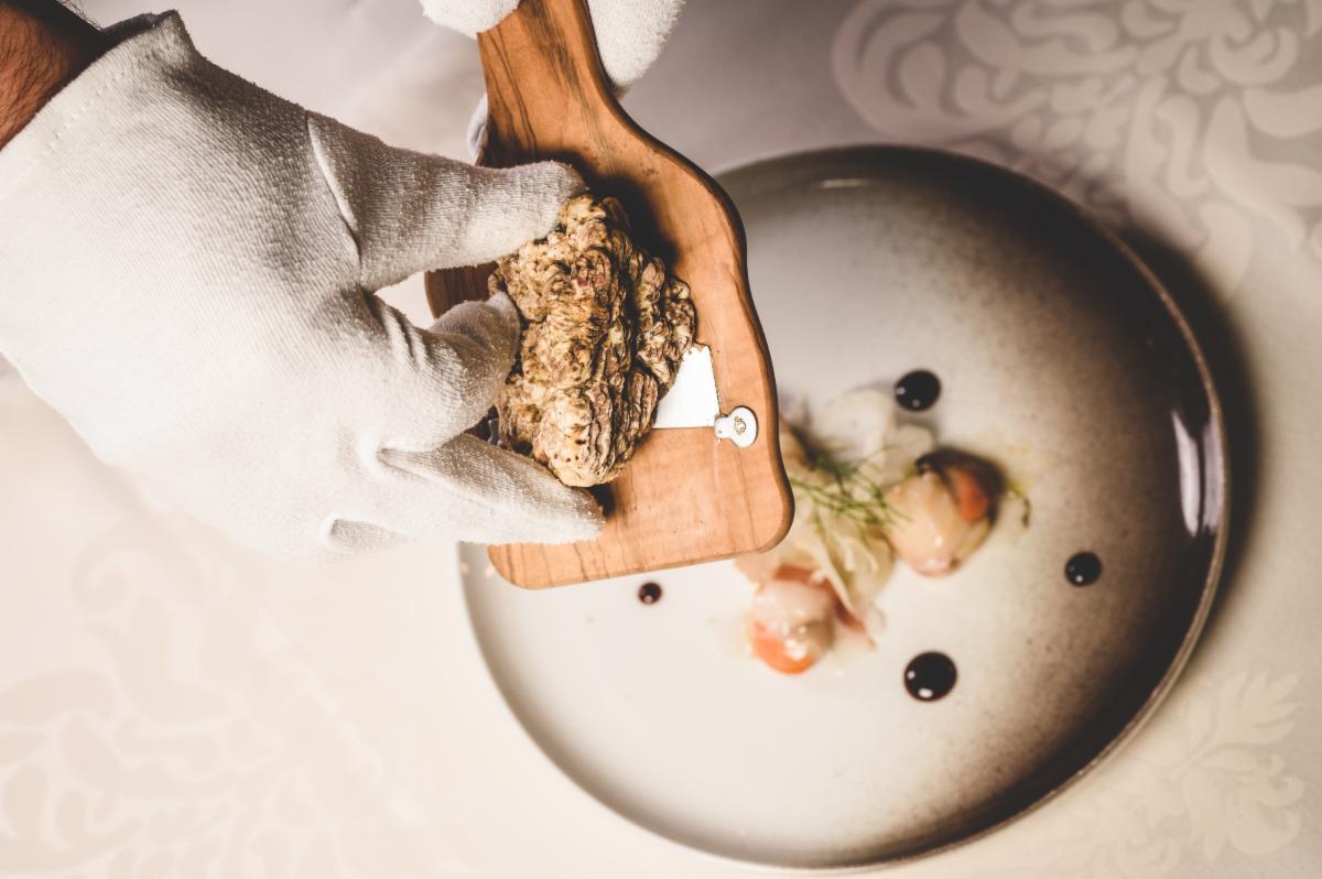 Last minute trip opening:  Culinary Tour of Istria, Croatia. As part of the Valise community, you're the first to know! conta.cc/2VWnT21