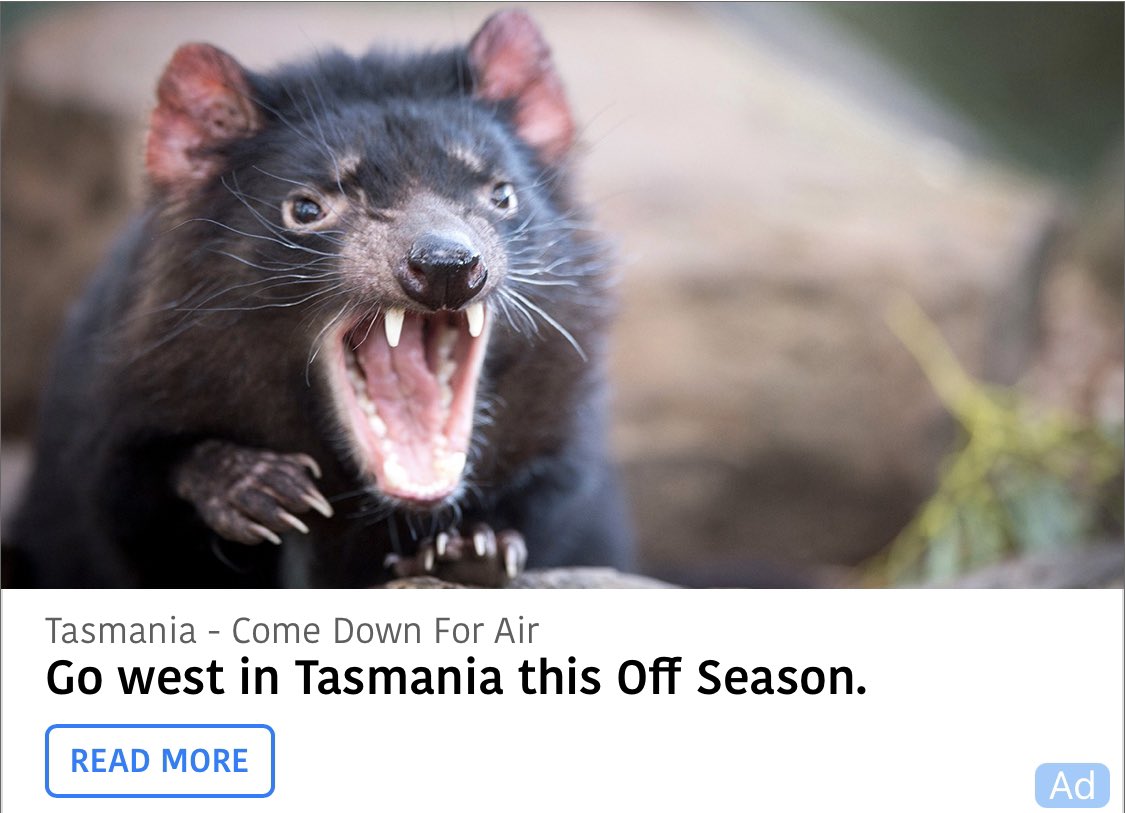messykayser's tweet photo. I think this is one of the worst adverts ever!!!  It keeps getting served to me on Apple even though I’ve tried to block it because it’s scary looking and not pleasant. Makes me want to not go to Tasmania. Get a new advertising agency. 👹#discovertasmania @tasmania https://t.co/7oVTAXAQ2K