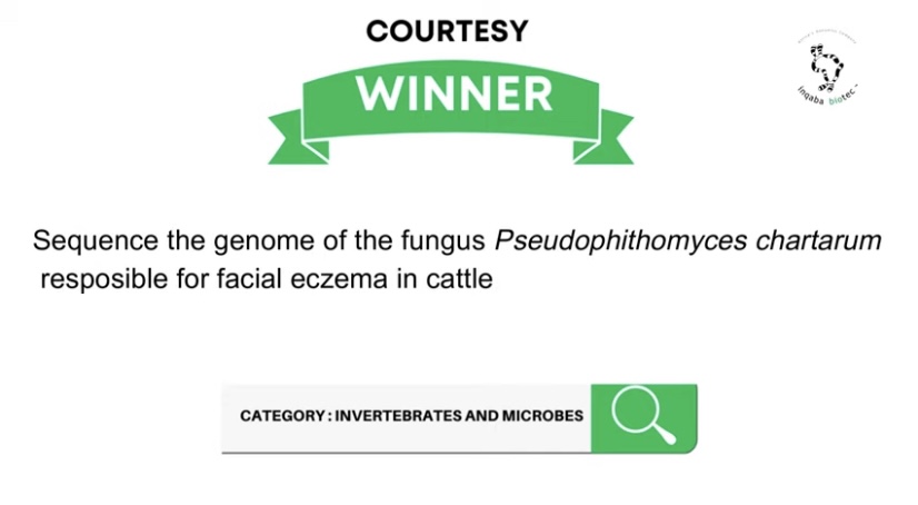Remember the <a href="/inqababiotec/">inqaba biotec</a> competition I joined. My project was selected as one of the winners 🎉which means I can sequence 3 genomes of #Pseudopithomyceschartarum on <a href="/PacBio/">PacBio</a> Sequel IIe system for free😍 Also now all my family and friends have an idea of what I am doing🐮🌿🍄🔬🧬