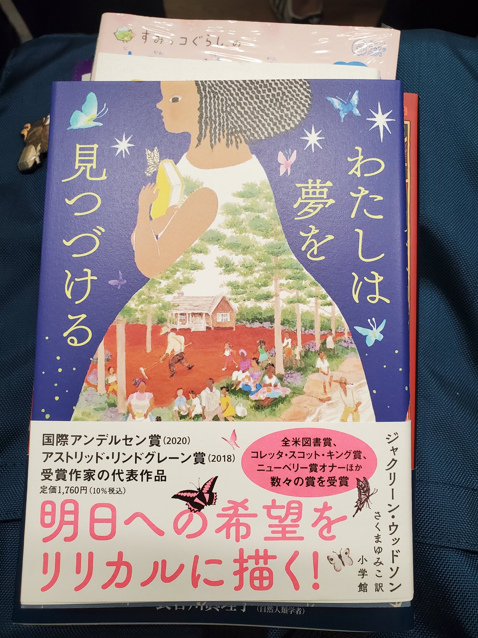 カンサン これは私が読みたいから買いました 散文詩なんだけど ストーリーがあってすっと入ってくる 気がする 立ち読みでの感想 長いというだけで嫌悪感を抱く活字嫌いだけど 感受性が強いので面白いと思ってくれないかなーと期待 私は夢を見