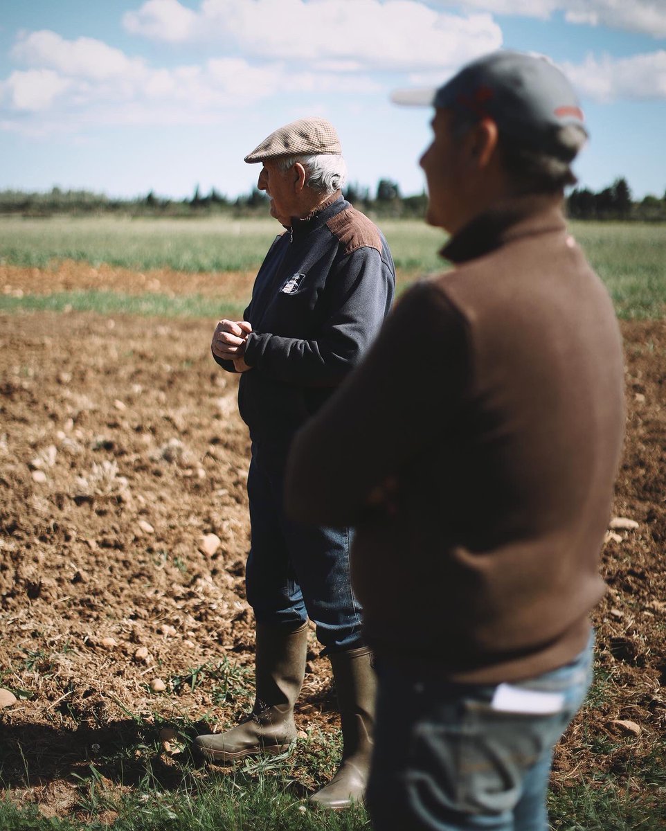 Extrait de mon exposition Re~Source! au Sofitel #Marseille. A la rencontre de la famille Granier, éleveurs de taureaux moruchos à #stMartindeCrau avec vue sur les #Alpilles 🐃 Une belle histoire de transmission
📷 sunwhere.fr/2021/06/exposi…
#agriculture #agridemain #photographe