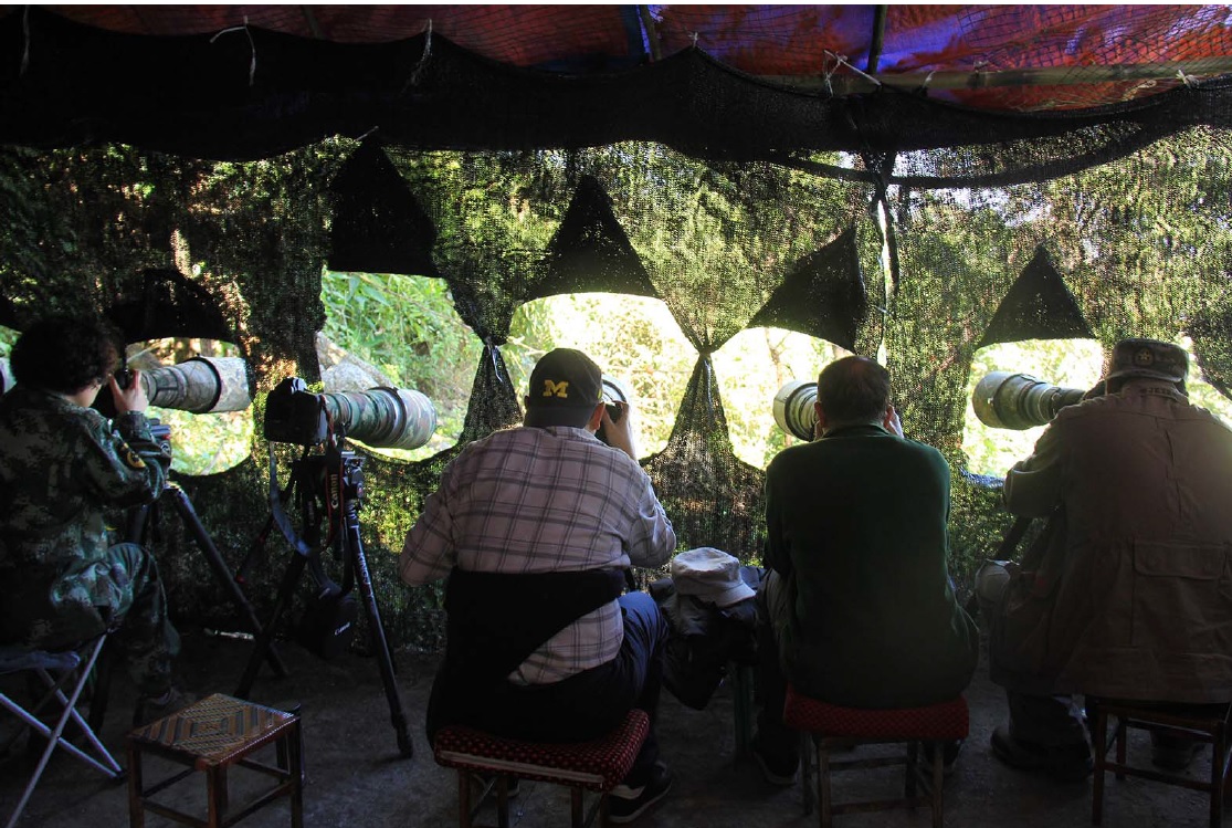 NishGup's tweet photo. "Bird photography tourism contributed significantly to sustainable livelihoods of local communities by providing source of income, creating local employment opportunities, and reducing local people’s dependence on the extractive use of forest resources"

https://t.co/8Z68eDUDdR https://t.co/NMPfPLmAz0