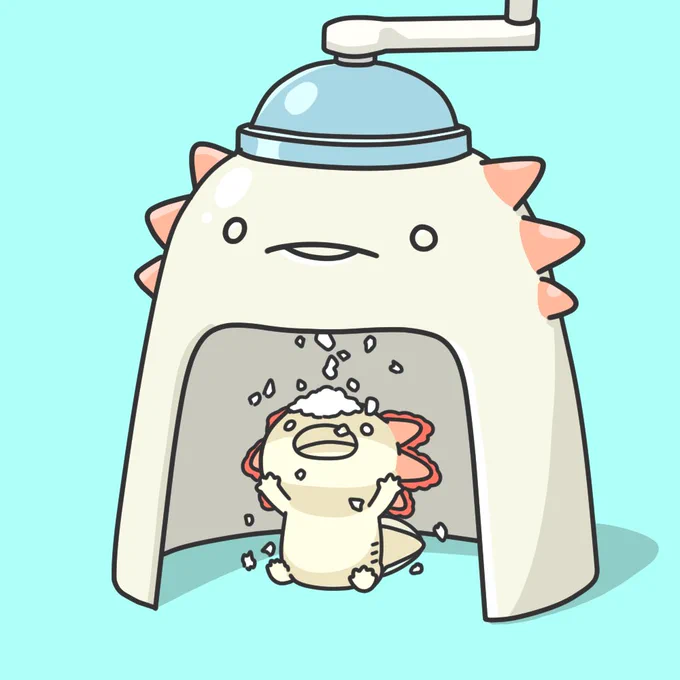 かき氷を直で食べたいウーパールーパー 
