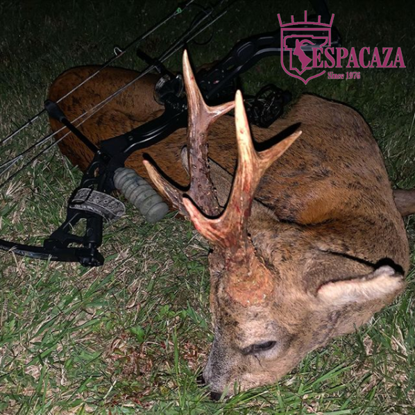 Roe deer hunting in France. A great way to start a trip.
#espacaza #caza #hunt #corzo #roedeerhunting #cazacorzo #conservationthroughhunting #celocorzo #chasse