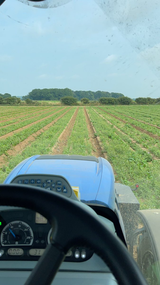 RobertM65017486's tweet image. Trying to turn water into wine with the #garford #robocrop