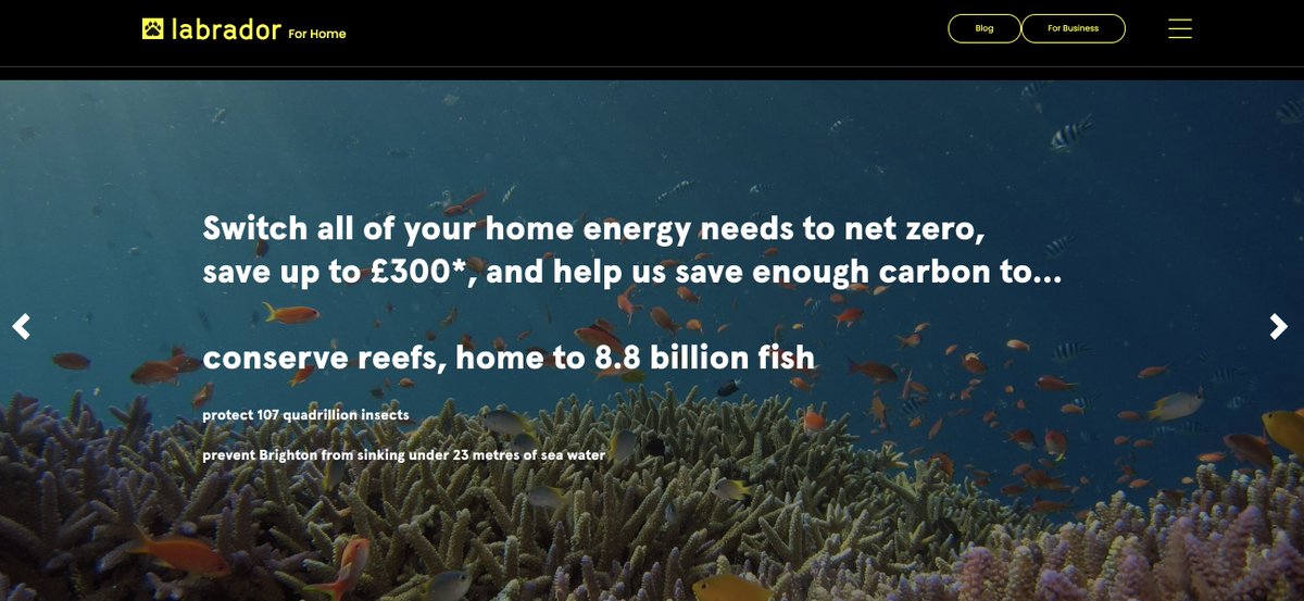 Choose net zero now on Labrador, for free! Retain choice of any supplier or tariff via our service and we will make it net zero at no cost. It takes just 1 minute to sign up. By choosing net zero, we will help transition the whole grid, together. thelabrador.co.uk/netzero