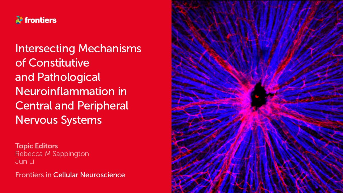 FrontNeurosci's tweet image. 🚨New #ResearchTopic 🚨

We are excited to announce the “Intersecting Mechanisms of Constitutive and Pathological Neuroinflammation in Central and Peripheral Nervous Systems” run by Dr. Sappington &amp;amp; Dr. Li 🌟.

Link here: fro.ntiers.in/JUNH

#Frontiers
#CellularNeuroscience