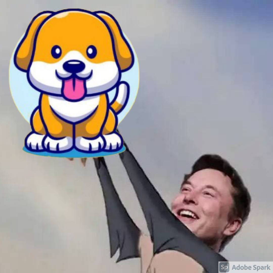 PuppyDogeC's tweet photo. @reallydogecoin Pick me https://t.co/HdSkXyfK0z