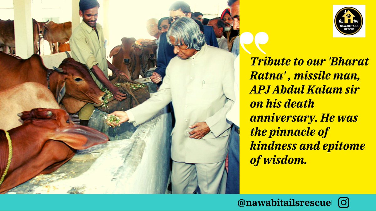 NawabiTails's tweet photo. Remembering #APJAbdulKalam on his death anniversary. Thank you for existing!! https://t.co/NPqfTTgSv7