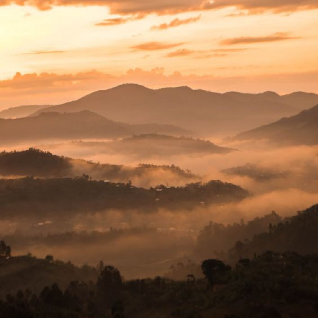 Bring art home with the NEW Sunset Plateau Basket 🌅  Artfully inspired by the golden hour of Rwanda! Each basket features a loop on the back for a ready-to-hang piece of wall art! Shop: bit.ly/2TA3Vta

#indegomade #madeinrwanda #artisancrafted