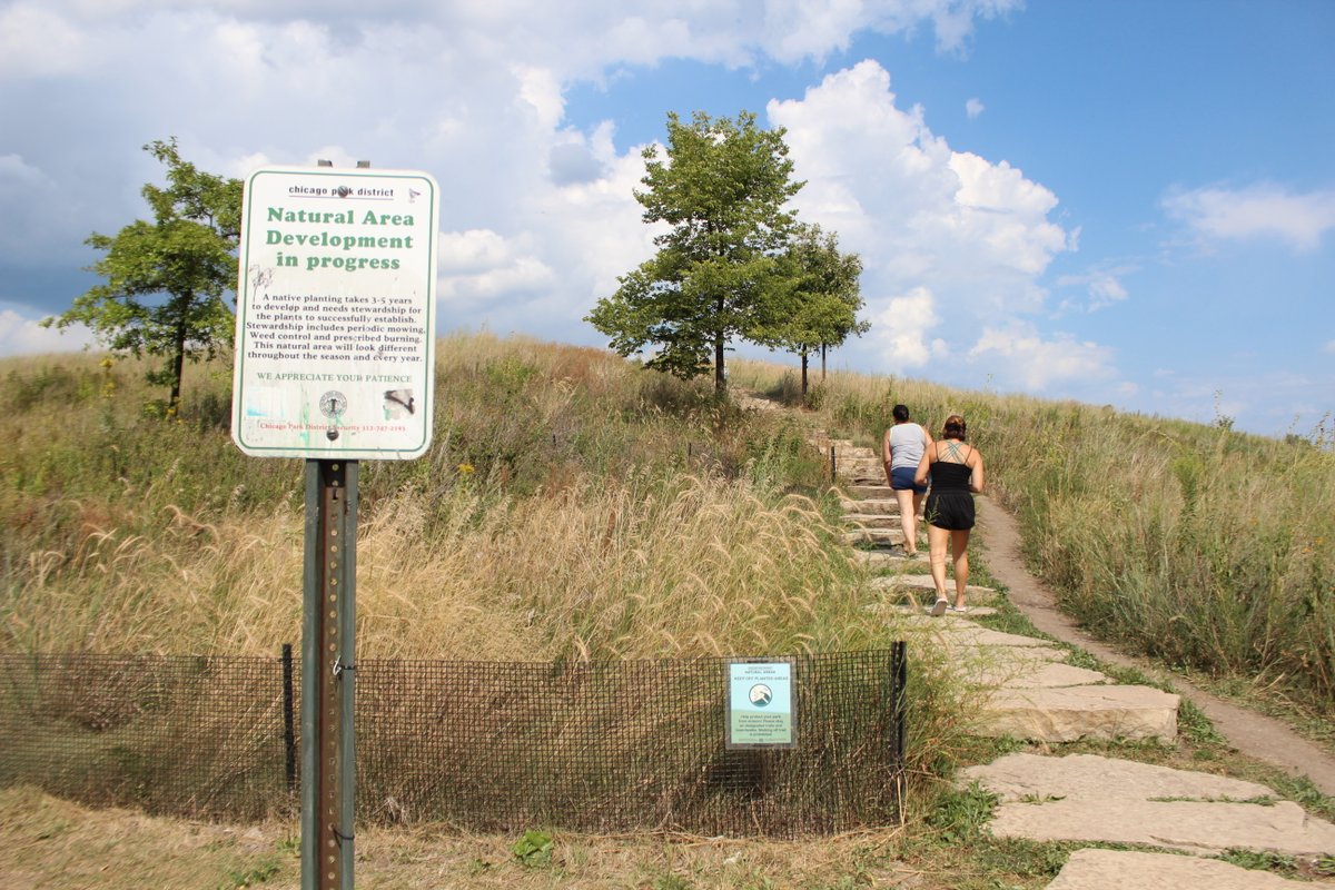 A blue sky with large white clouds sits in the background. The foreground features an uphill path with steps made of rocks with two people walking up. A few trees are on the hill in the middle of large patches of tall grass.