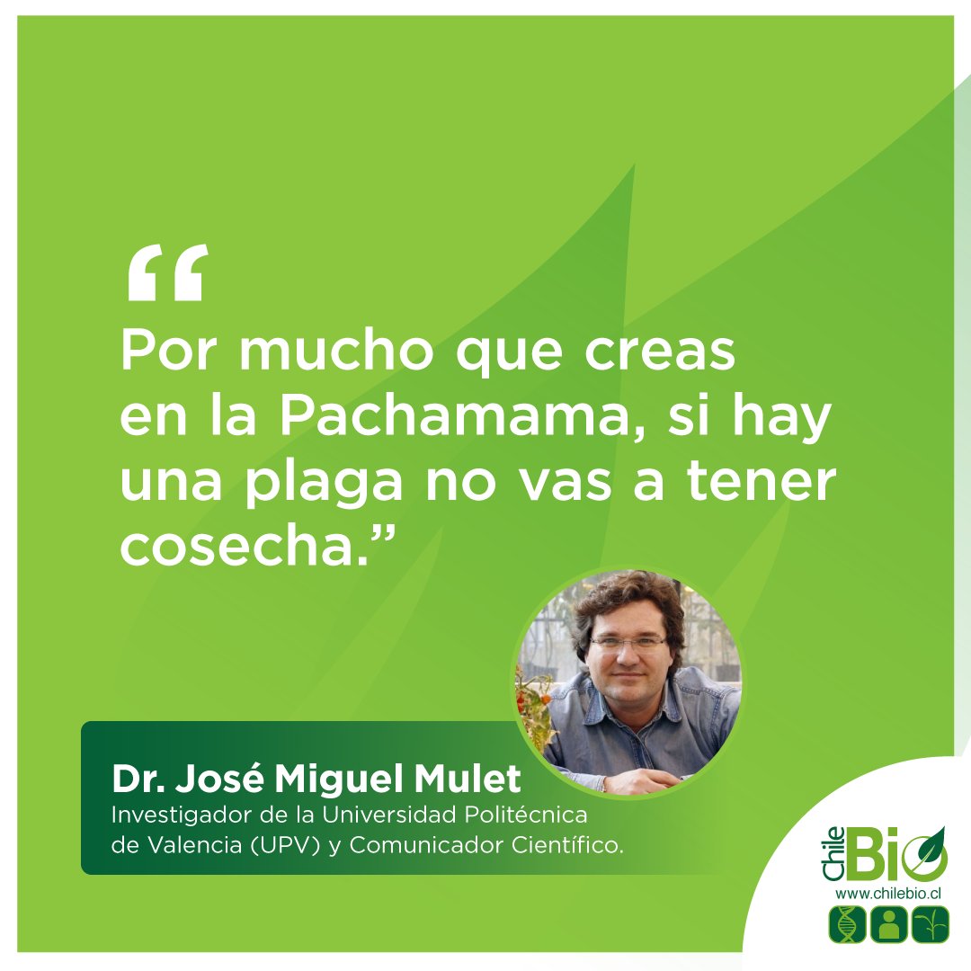 ChileBio_AG's tweet photo. "Gracias a los #transgenicos se usan menos #agroquimicos que en cultivos tradicionales y además se cuida más al ambiente. Un ejemplo es la soja GM con la cual se puede hacer siembra directa, ahorrando -#fitosanitarios y cuidando el suelo", agrega @jmmulet https://t.co/YblHGkaxHJ https://t.co/c8XbainvaH