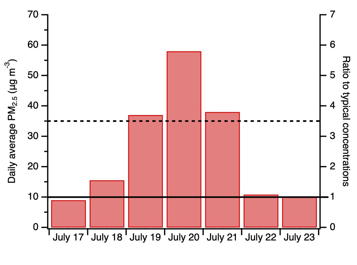 Profesto tweet media