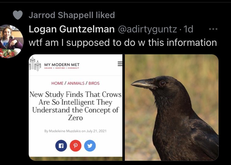 ColinShort's tweet image. I mostly hate how Twitter puts your follows’ likes in your feed. But @jarrodshappell, your like game is 🔥.