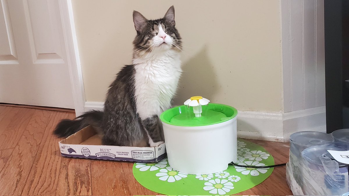 in mine little box ,, drinking mine little water