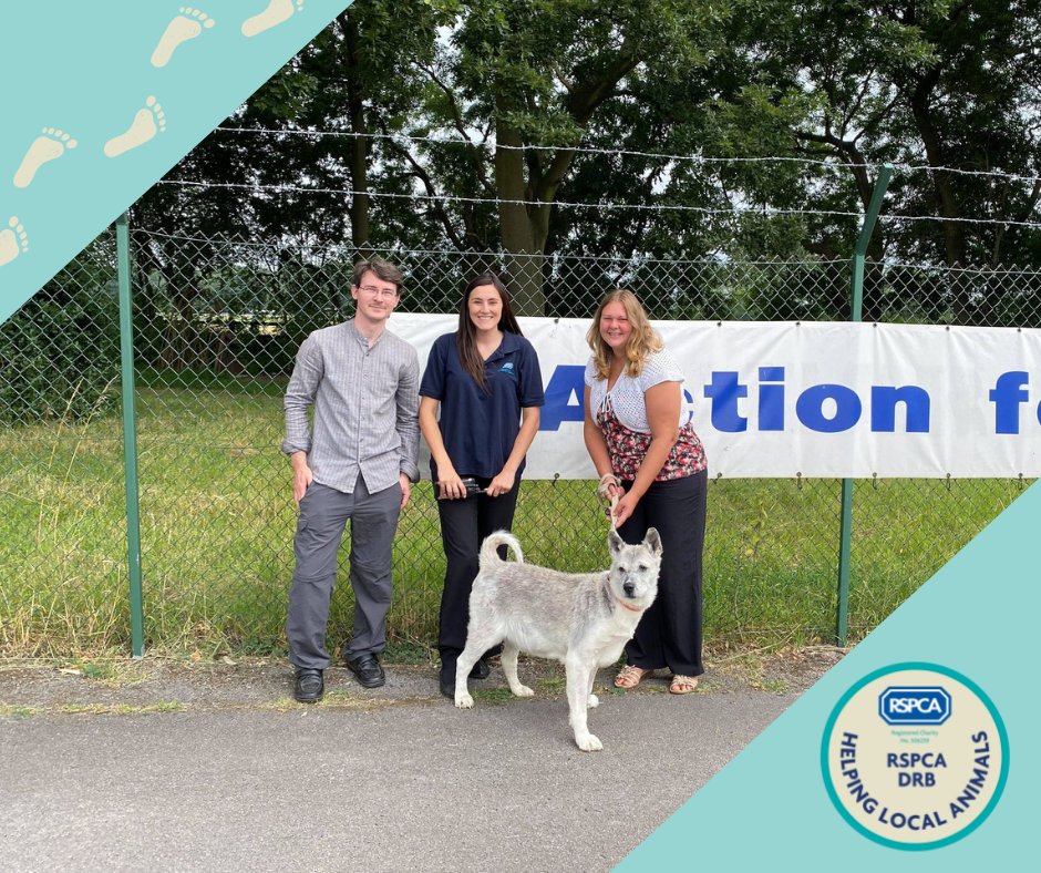 👣 We'd like to say a huge thank you to Daniel and Donna from Bearfoot Challenge who undertook a 5 mile walk around Doncaster Lakeside with bare feet to help raise vital funds for our Animal Centre.

Full story: rspcadoncasterrotherham.org.uk/News/bare-foot…
