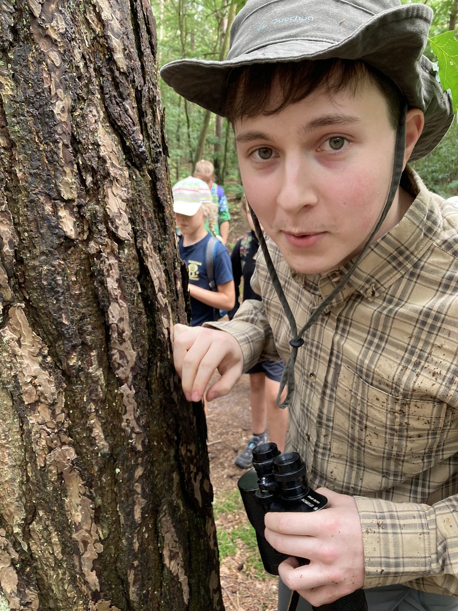 Kabouters tweet media