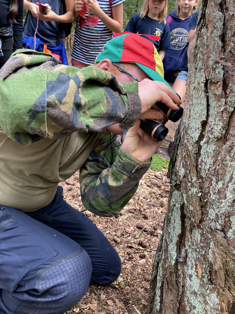 Kabouters tweet media