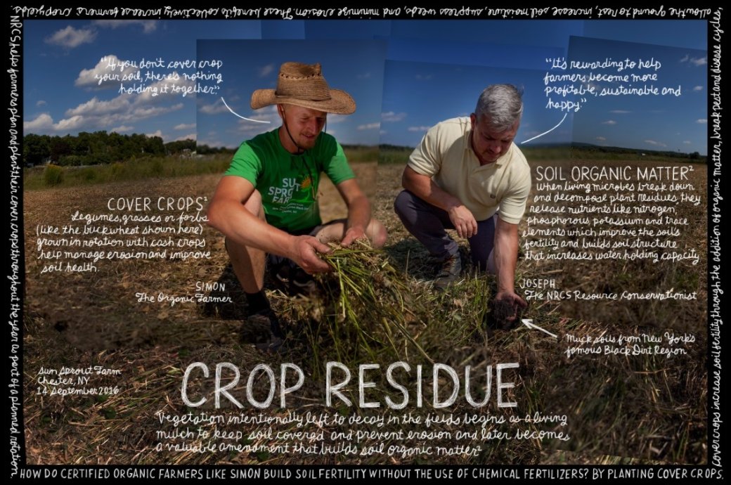 USDA_NRCS's tweet photo. "If you don't cover crop your soil, there's nothing holding it together." https://t.co/7yL8mTKrjE #soilhealth https://t.co/O5VA7gVeRQ
