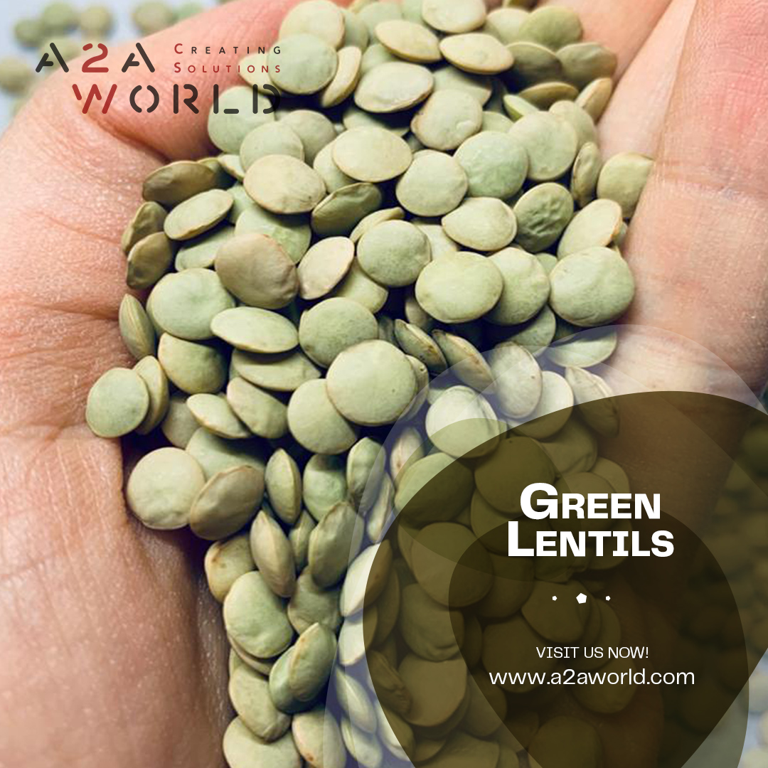 A2A_World's tweet photo. Red and Green Lentils Available in Stock Ready to Load. 

Sortex Quality

Order now by sending us an email through:
sales@a2aworld.com.tr
#lentils #redlentils #export #import #agriculture #agriproducts #Turkey #Canada #Russia #greenlentils #vegetarian #healthy #healthfood https://t.co/ZS09sbal4G