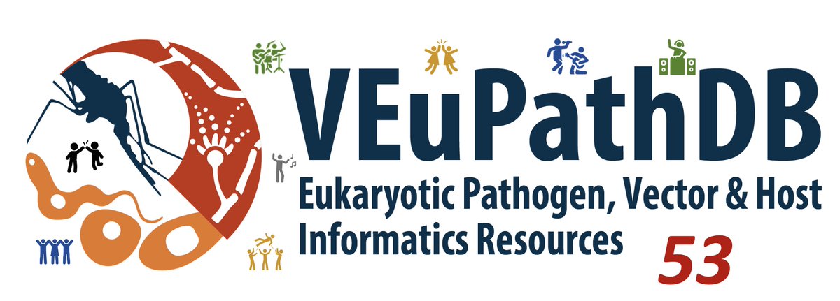 veupathdb's tweet image. Curious about what is new in the latest release of #VEuPathDB - release 53? Check out the news section of your favorite resource to see what is new @VectorBase @fungidb veupathdb.org/veupathdb/app/…