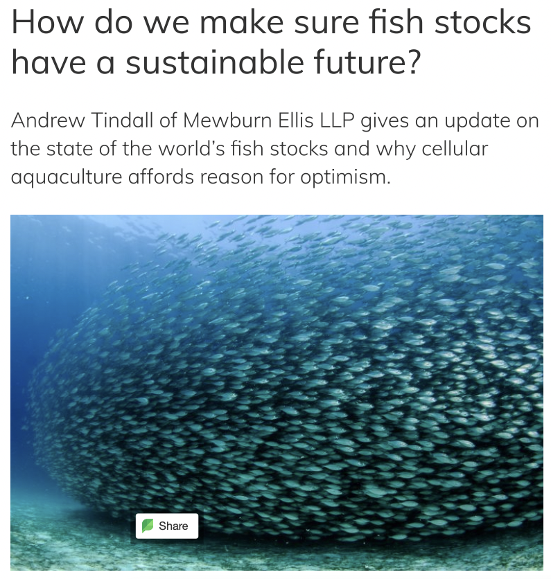 GoodFoodInst's tweet photo. By the year 2100, without significant changes, more than half of the world’s marine species may be on the brink of extinction. While the challenges of scaling cellular aquaculture are significant, "the rewards for overcoming them are too." via @NewFoodMag: https://t.co/iwoxJ0N90P https://t.co/IMW721fEcW