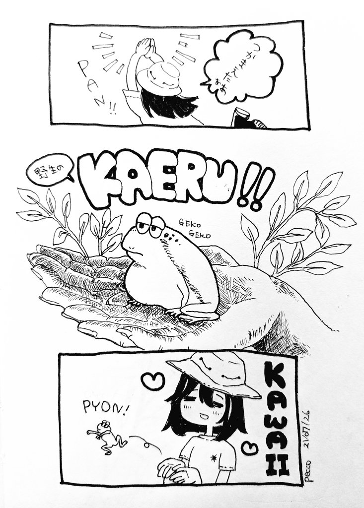 【キャンプにて】
アマガエルがいて可愛すぎて描きました #カエル #キャンプ 