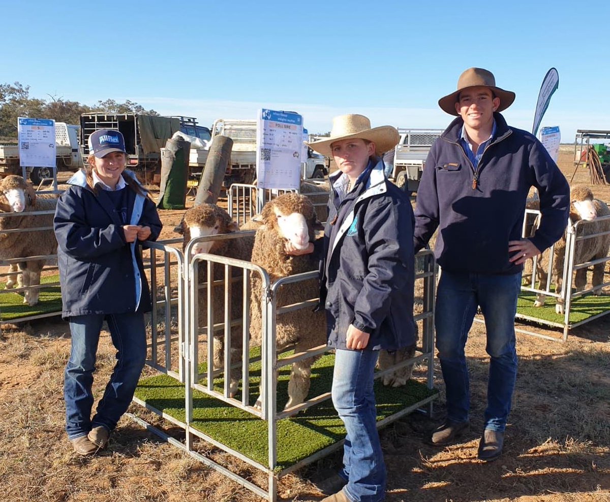 haddonrigstud's tweet photo. Fantastic day at the Midstate Merino Field Day today, coming away with a 2nd in the Hogget Ram with Poll ram HRP 200171 by PB 878.

📸 Shared from Scott Thrift, Elders Stud Stock. 

#midstatemerinos #haddonrig #haddonrigstud #HRP200171 #thankafarmerforyournextmeal #thankafarmer https://t.co/xlpLJz4xnz