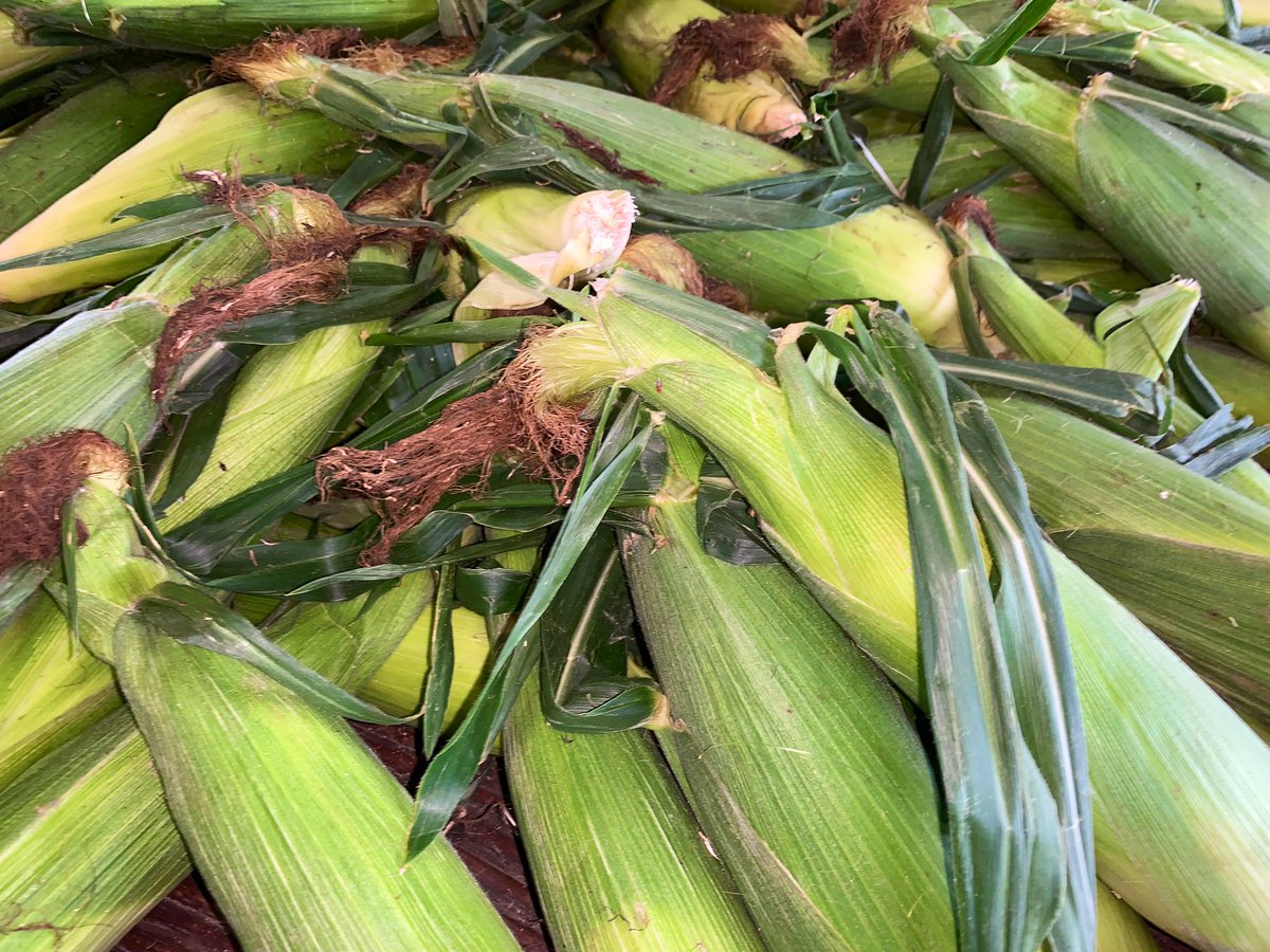 SorbelloGirls's tweet photo. 🔆👩🏼🌾Stop by #FarmMarket in beautiful @MullicaHillNJ♥️!
#EatWhatsinSeason
#JerseyFresh
#Tomatoes🍅
#Corn🌽
#Blueberries🫐
#SugarPlums
#SupportLocalFarms #SupportLocalFarmers #ShopLocal #FamilyOwned #NJFarm #NewJerseyFarm #NewJersey #NJ #shopSmallBusiness #JerseyStrong #JerseyProud https://t.co/mz5ehyK9NO