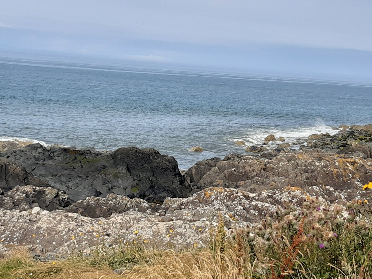 BoddyJoanna's tweet photo. Sitting in the sun listening to the sea at Portpatrick. Seems a long way from a pandemic and all is right with the world for the moment๐#holidayinScotland https://t.co/ZvChKnSAvn