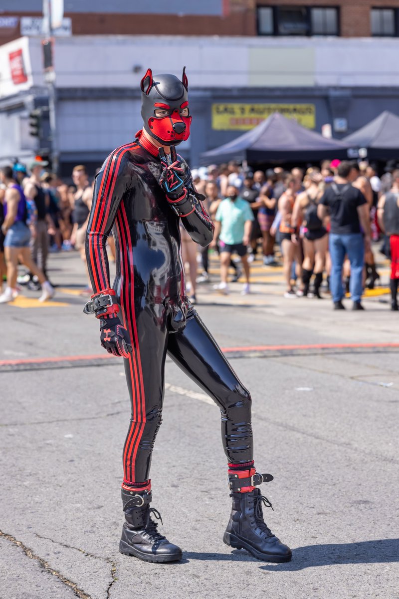 Pup Rally on Twitter: 