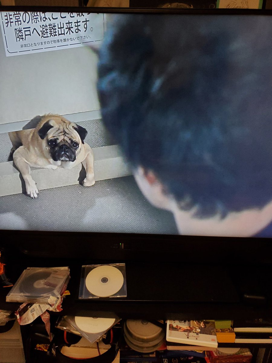 まだ結婚できない男 ドラマ 最新情報まとめ みんなの評価 レビューが見れる ナウティスモーション 2ページ目 まだ結婚できない男 ドラマ 最新情報まとめ みんなの評価 レビューが見れる ナウティスモーション 2ページ目