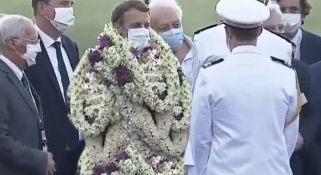 Rod___Serling's tweet image. Vous aussi ça vous a fait penser à ce mouton ?