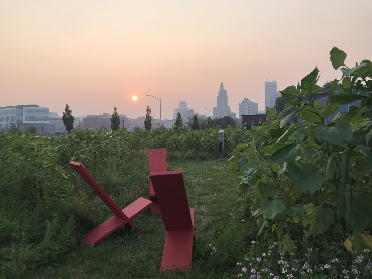 DesignUnderSky's tweet photo. Beautiful hazy Summer evening in #10000suns as the bloom emerges.

#providence #sunflowers #urbanpark #parks #pollinators #designundersky #landscapearchitecture https://t.co/UmS7Da6h8s